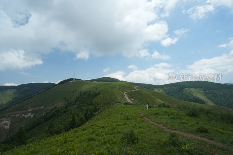 麻田岭夏季风光