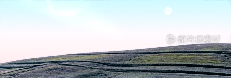 田野山坡上的孤树风景