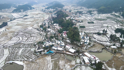 冬天农田农业种植雪景航拍图