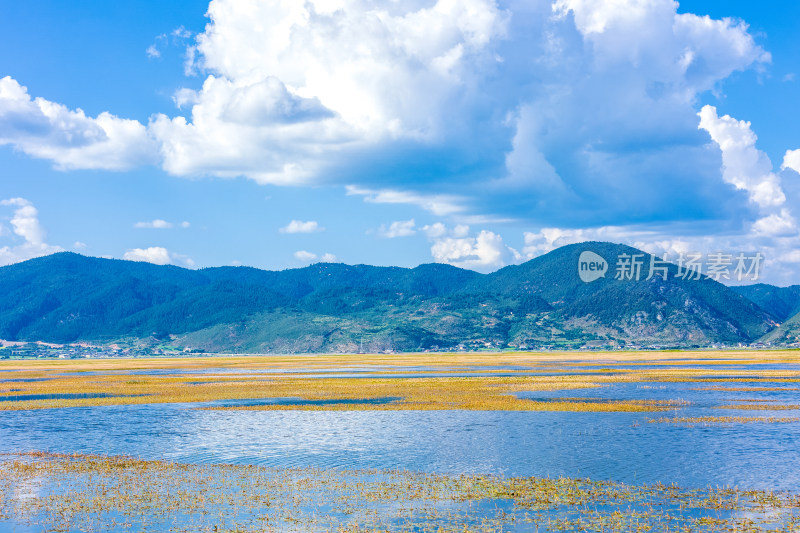 香格里拉纳帕海景区