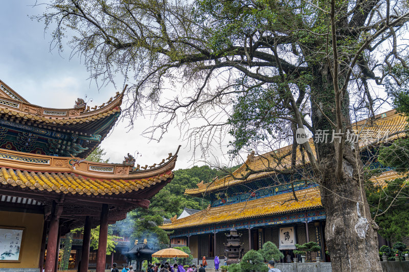 浙江普陀山法雨寺禅院