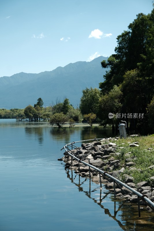 湖边枯树与湖水蓝天景象