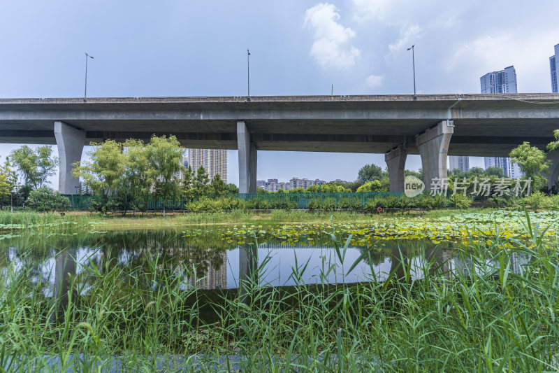 武汉青山区戴家湖公园风景