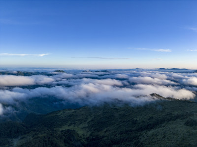 大自然高山云海湖北神农顶景区