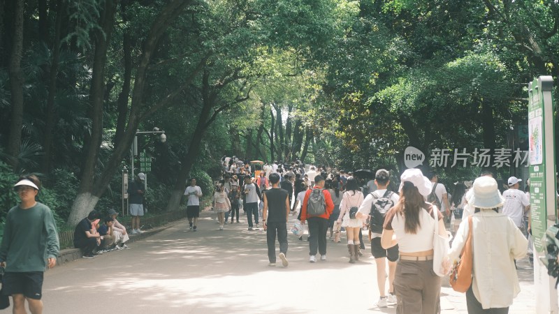 南京红山动物园景区内部人潮节假日期