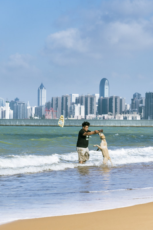 在海边和宠物狗玩耍的男人