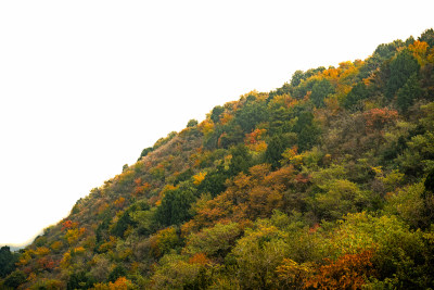 秋季的山野景色