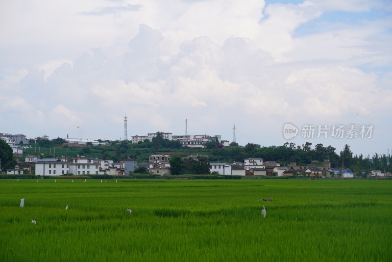 田野乡村与远山风景