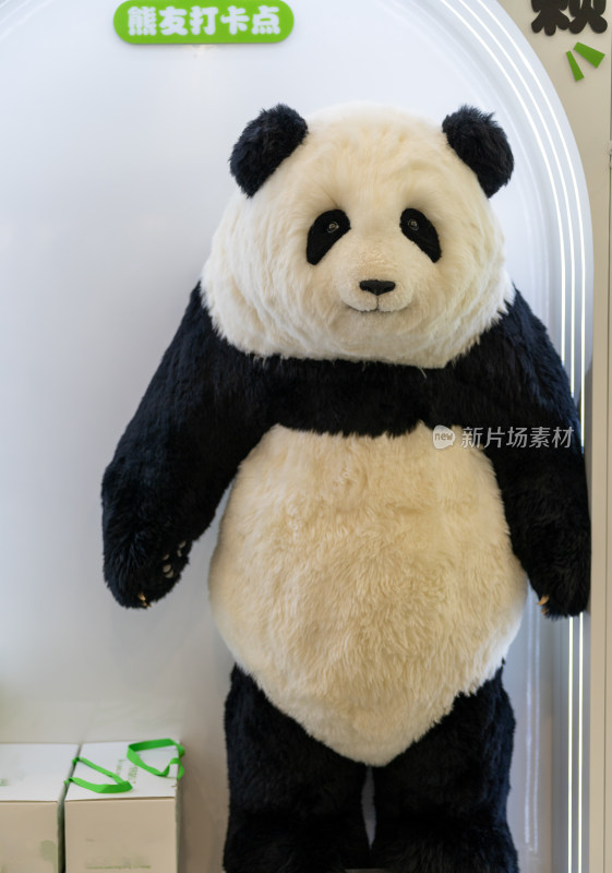 熊猫毛绒玩具靠墙特写镜头