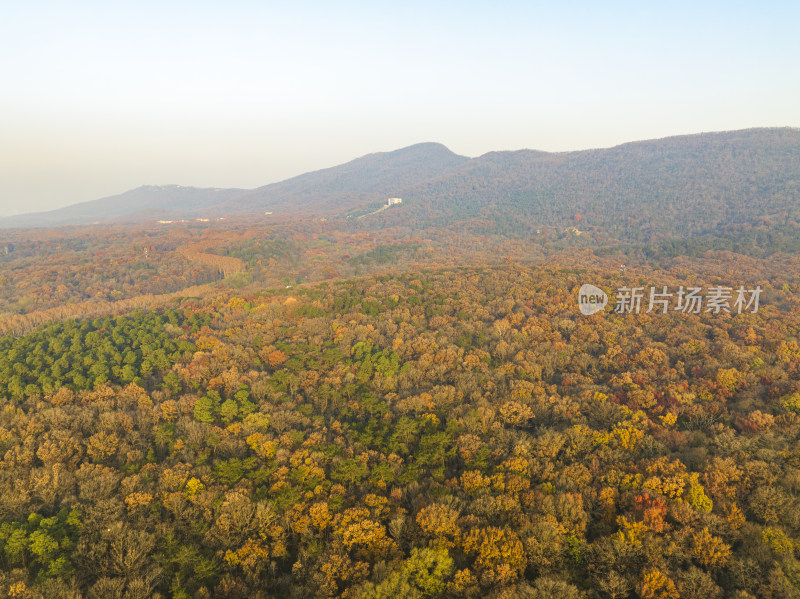 航拍秋季南京中山陵风景区