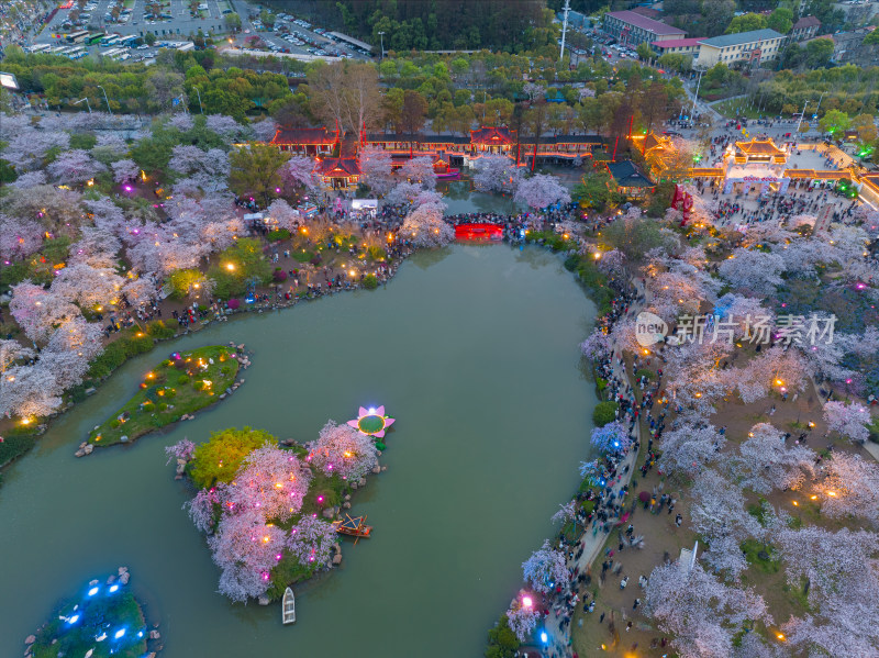 武汉东湖磨山樱花园夜景风光