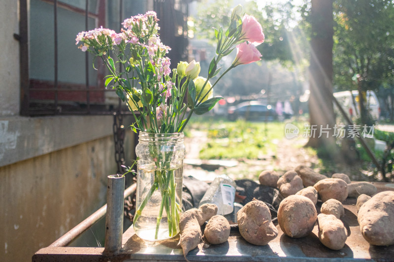 阳光下放有鲜花和红薯的静物场景