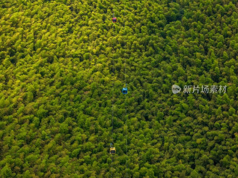 夏季白天航拍常州溧阳天目山南山竹海景区