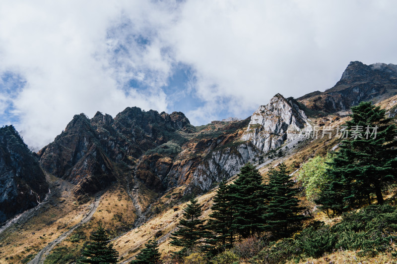 丽江玉龙雪山蚂蝗坝