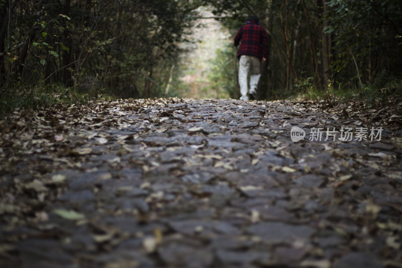 南京紫金山原图直出