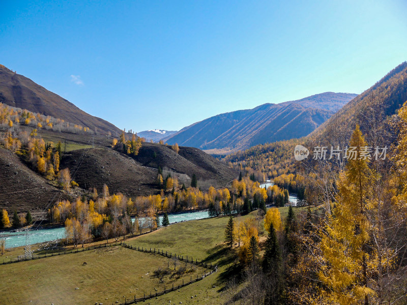 喀纳斯河风景