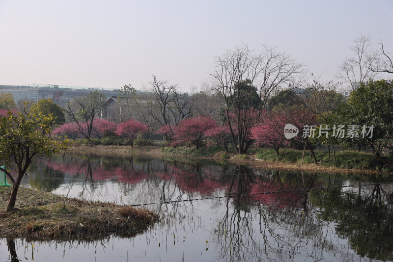 中国杭州阿里巴巴西溪园区