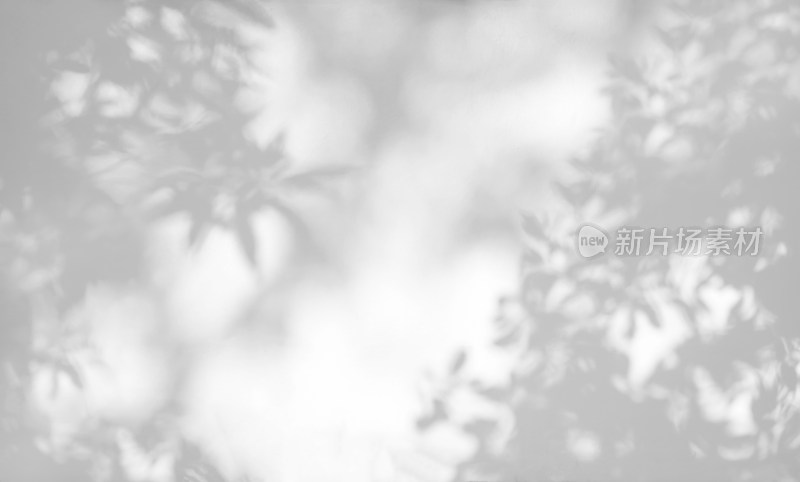 树叶光影背景素材