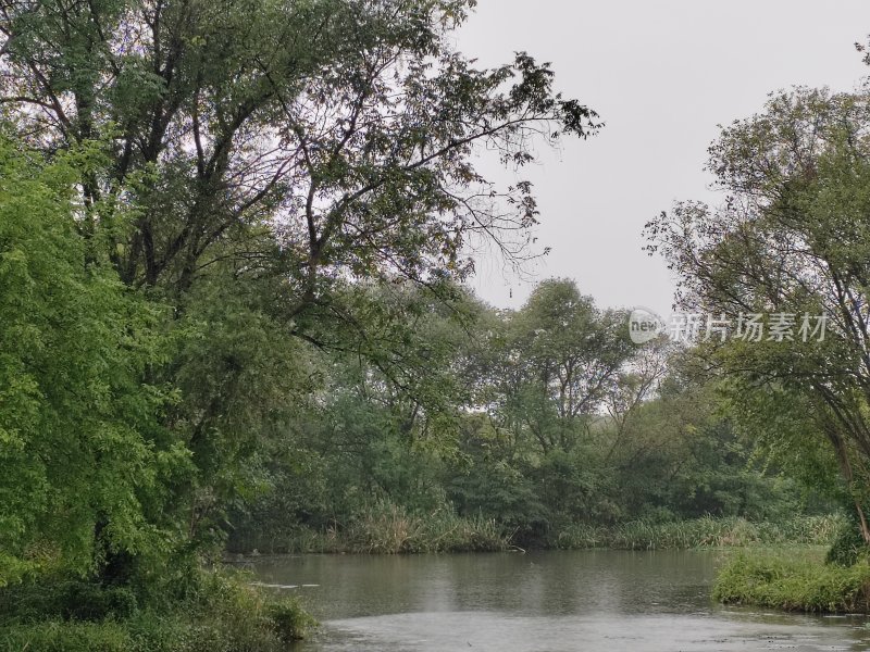 水边绿树环绕的自然风景