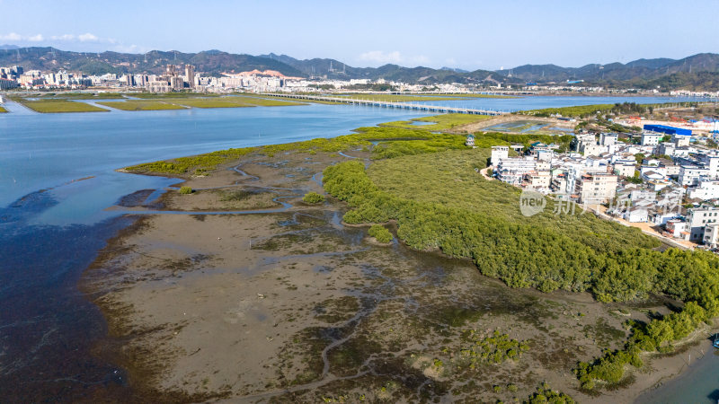 惠州市盐洲海洋湿地公园-红树林航拍