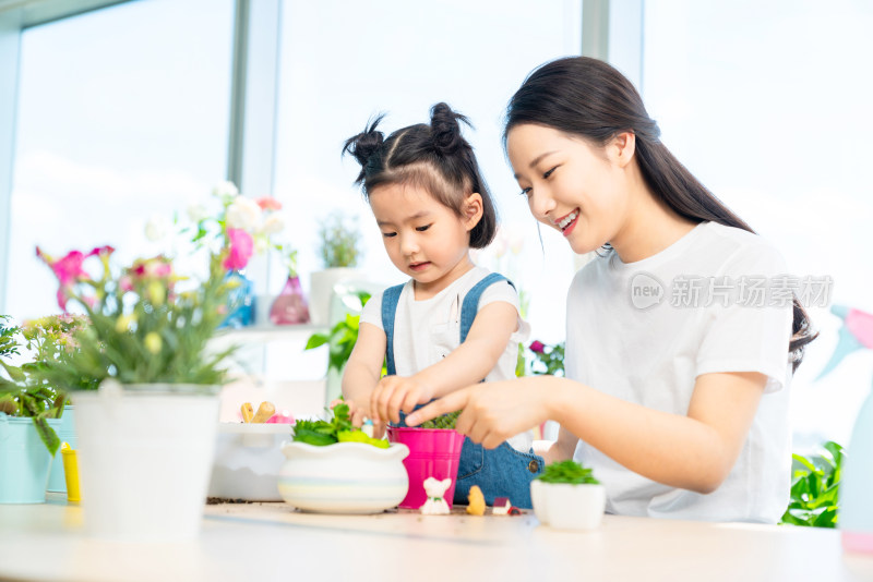 快乐的母女俩在家种植盆栽