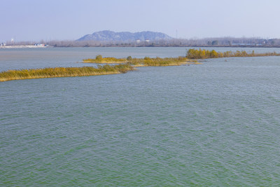 山东济南鹊山水库沉砂池湿地冬天风景