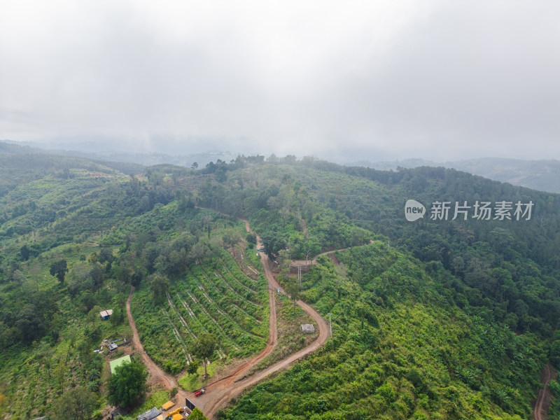 云雾笼罩下的葱郁山林鸟瞰全景