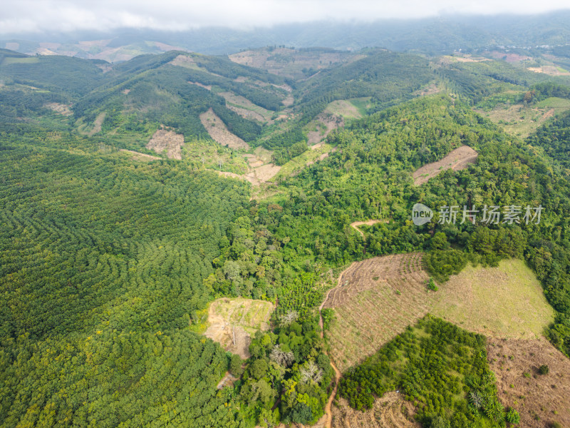 航拍绿意盎然的山脉和茂密森林