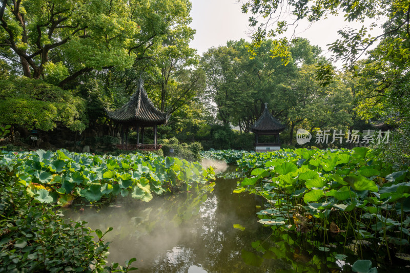 中式风格的古建筑园林上海青浦曲水园景色