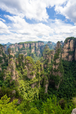 中国湖南张家界景区奇特山峰与茂密森林