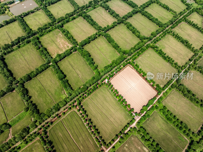 中国广东省广州市南沙明珠农业公园