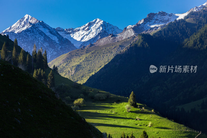 喀拉峻草原