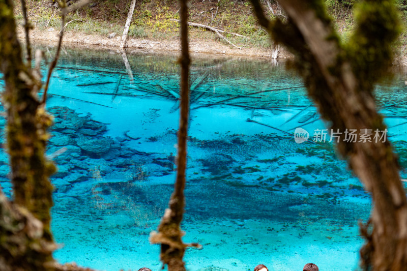 四川阿坝藏族羌族自治州九寨沟景区