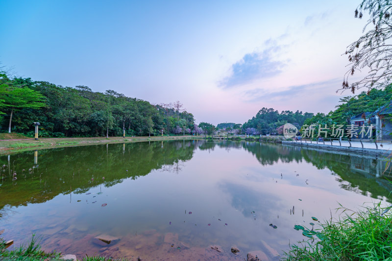 广州番禺大学城中心湖绿色树林湖景风光