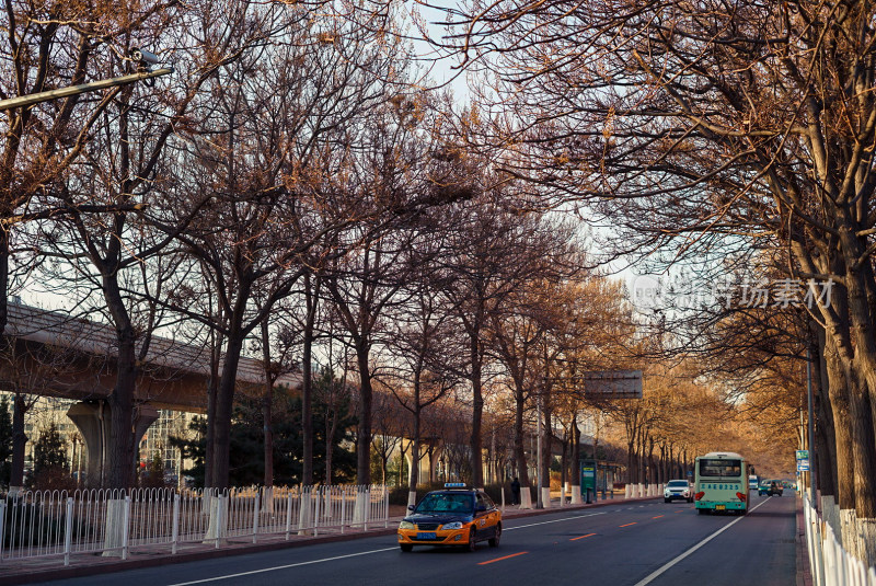 冬日城市街道车辆行驶景象