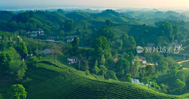 茶园茶山美丽乡村