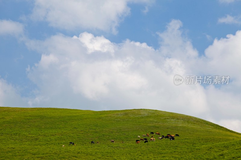 内蒙,阿尔山,