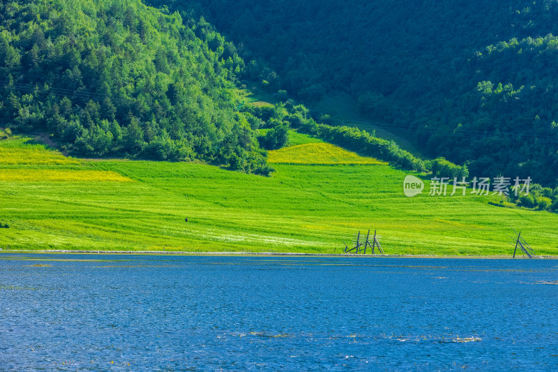 香格里拉纳帕海景区