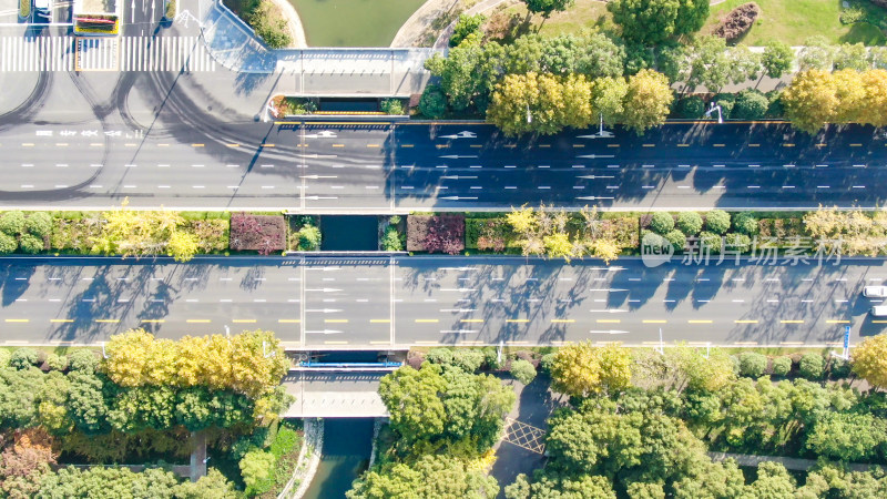 城市空旷大道交通绿化植物航拍
