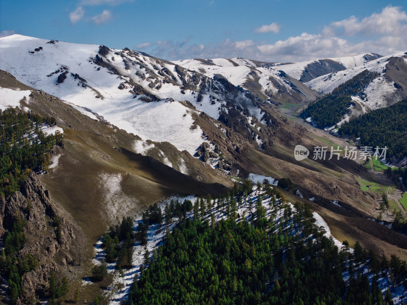 航拍高山森林