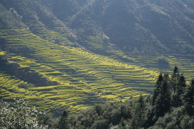 古村落婺源徽派建筑古建筑古遗址