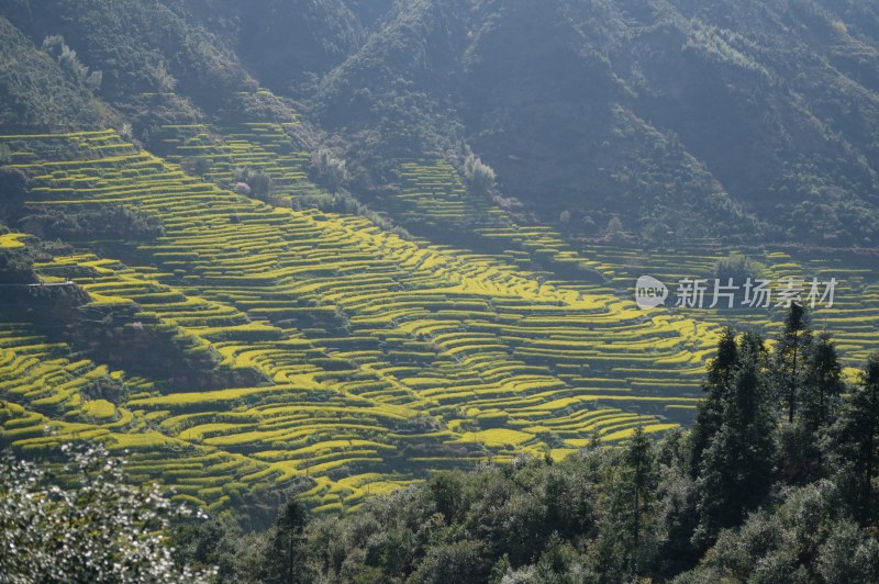 古村落婺源徽派建筑古建筑古遗址