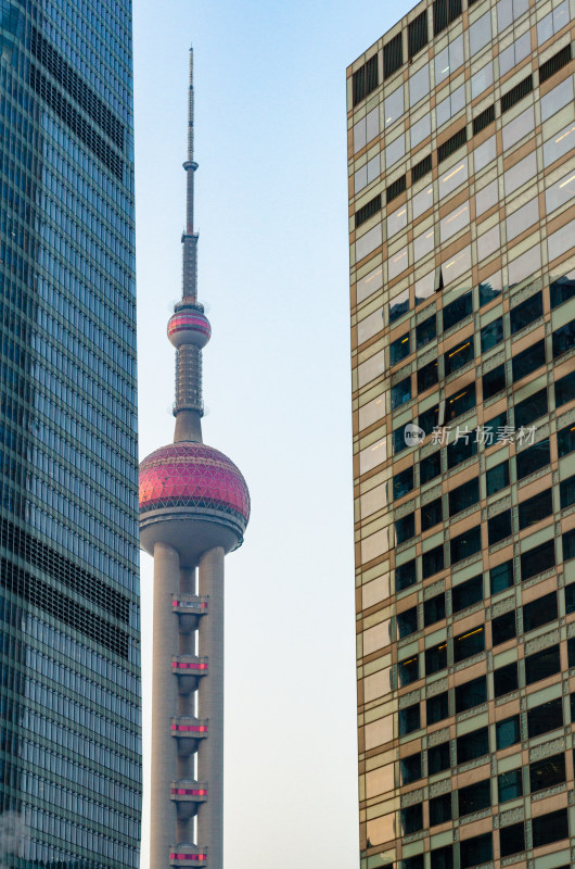 两栋大楼之间的上海东方明珠电视塔