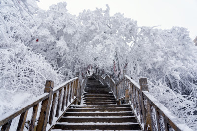 寒冷冬天洛阳老君山景区大雪登山步道台阶