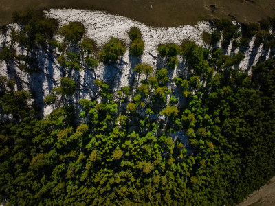 航拍高山森林