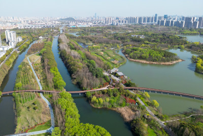 航拍苏州昆山市城市生态森林公园