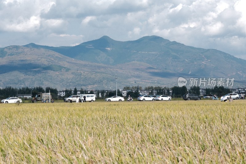 云南大理喜洲田野远山与乡村景象