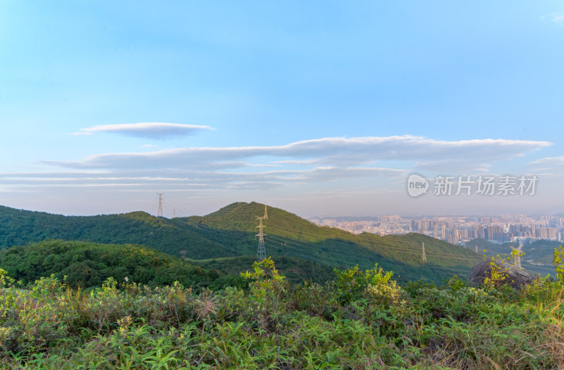 深圳羊台山绿色连绵群山与城市建筑