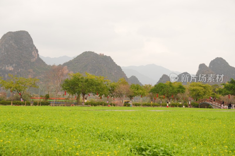 田野绿地与山峦背景的自然景观