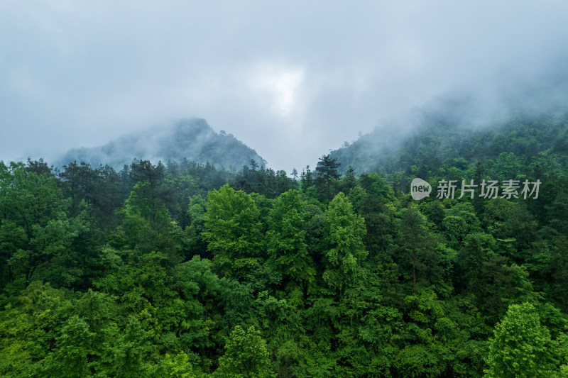 山林云雾缭绕的自然风光